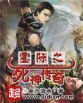 《星际之死神传奇》小说封面