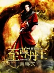 《至尊丹王》小说封面
