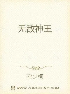 《无敌神王》小说封面