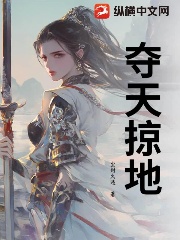 《夺天掠地》小说封面