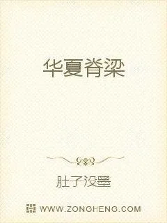 《华夏脊梁》小说封面