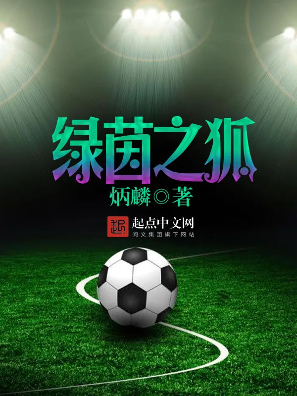 《绿茵之狐》小说封面