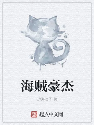 《海贼豪杰》小说封面