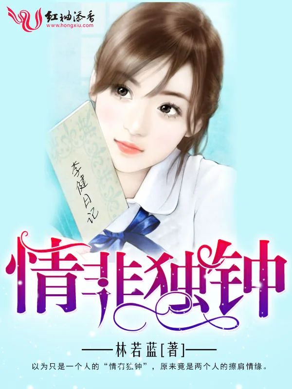 《情非独钟》小说封面