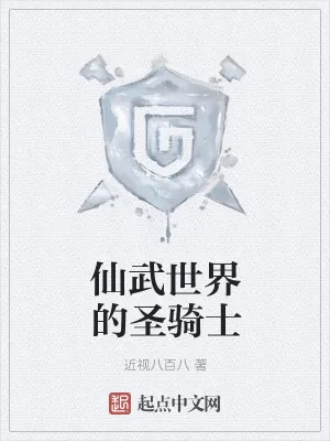 《仙武世界的圣骑士》小说封面