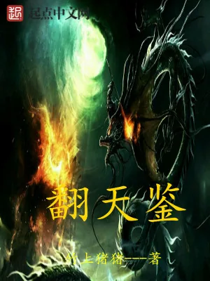 《翻天鉴》小说封面