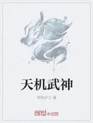 《天机武神》小说封面