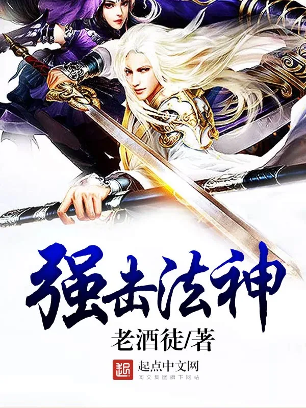 《强击法神》小说封面