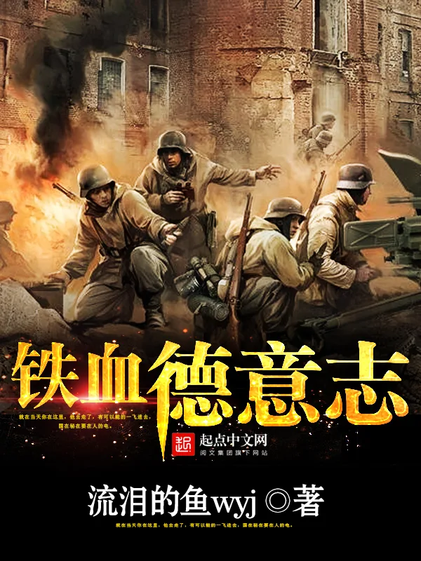 《铁血德意志》小说封面