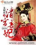 《清宫妾妃》小说封面