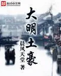 《大明土豪》小说封面