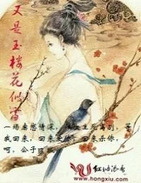 《又是玉楼花似雪》小说封面