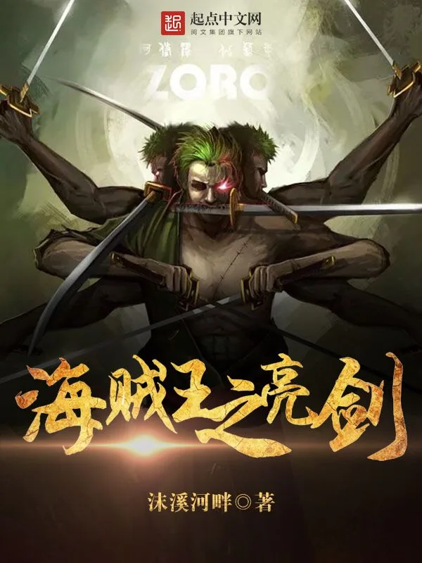 《海贼王之亮剑》小说封面