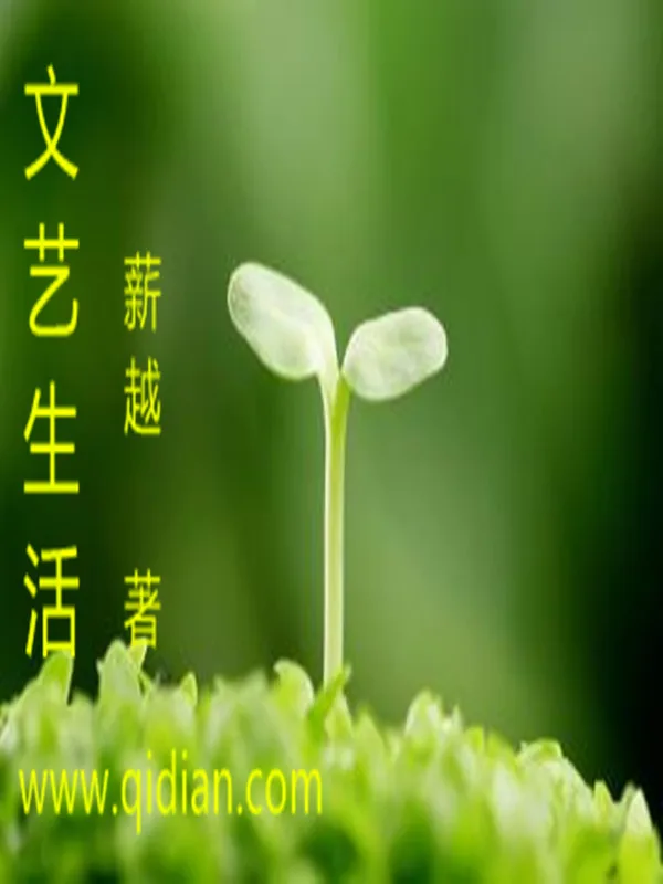 《文艺生活》小说封面