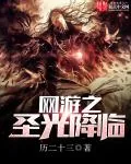 《网游之圣光降临》小说封面