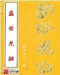 《盛世仙路之光脑法宝》小说封面