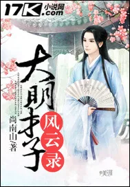 《大明才子风云录》小说封面