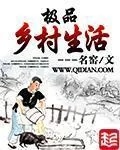 《极品乡村生活》小说封面