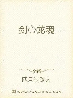 《剑心龙魂》小说封面