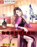 《影帝是怎样炼成的》小说封面