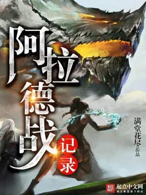 《阿拉德战记录》小说封面