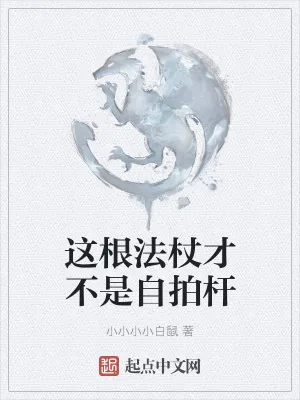 《这根法杖才不是自拍杆》小说封面