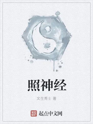 《照神经》小说封面