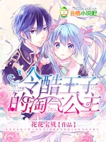 《冷酷王子的淘气公主》小说封面