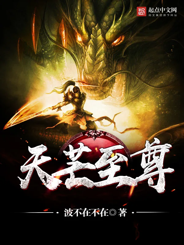 《天芒至尊》小说封面