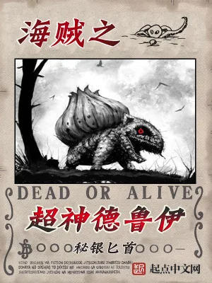《海贼之超神德鲁伊》小说封面