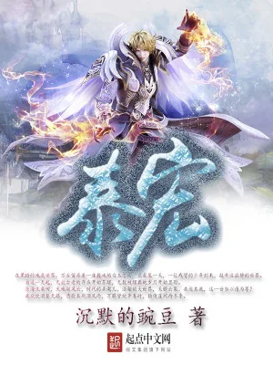 《泰宏》小说封面