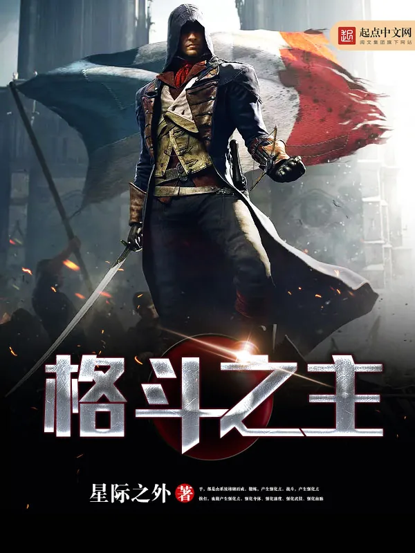 《格斗之主》小说封面