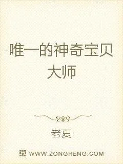 《唯一的神奇宝贝大师》小说封面