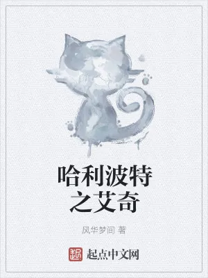 《哈利波特之艾奇》小说封面