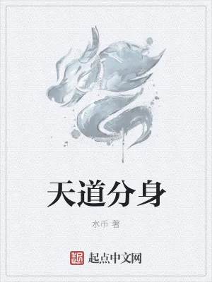《天道分身》小说封面