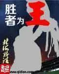 《胜者为王》小说封面