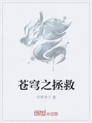 《苍穹之拯救》小说封面