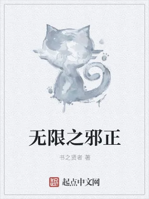 《无限之邪正》小说封面