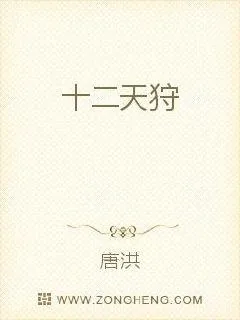 《十二天狩》小说封面