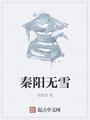 《秦阳无雪》小说封面
