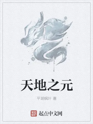 《天地之元》小说封面