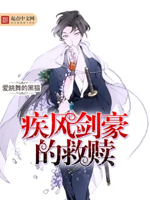 《疾风剑豪的救赎》小说封面