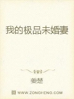 《我的极品未婚妻》小说封面
