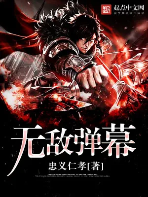 《无敌弹幕》小说封面