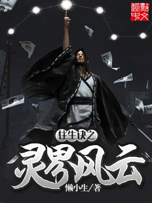 《往生决之灵界风云》小说封面