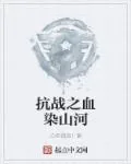 《抗战之血染山河》小说封面