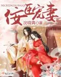 《佞臣宠妻》小说封面