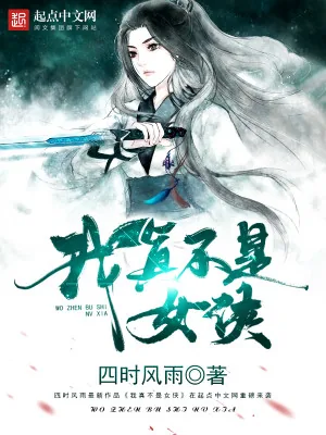 《我真不是女侠》小说封面
