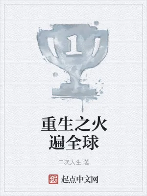 《重生之火遍全球》小说封面