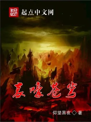 《哀嚎苍穹》小说封面